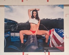Arianny Celeste 8×10 Photo Print UFC MMA Picture Sexy Beautiful Ring Girl Model