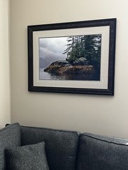 Thomas D. Mangelsen Guardian of Knight Inlet Rainforest Landscape Framed Photo
