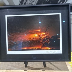 Photograph Print Titled Burning Tree” Signed By Paul Kitagak Jr. F-10”x12.75”