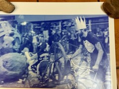 Janine Gordon Photograph 60″x24″ C-print Edition Grid Bike Kill Signed Fine Art