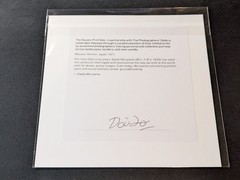 Daido Moriyama – Signed – Stray Dog – Misawa, Japan – Magnum 6″x6″