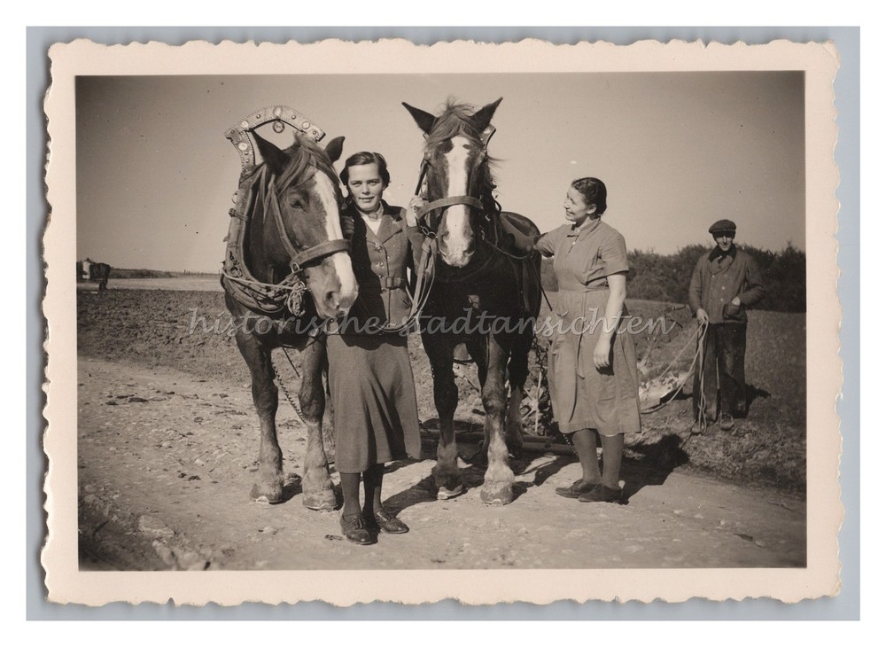 Great Photo of 2 Women with Horse Team – Farmer Farmers Professions Photo 1930s