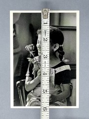 Chester Higgins Jr. Art Photo Print Card – A Birthday Rose, NYC, 1975 4.25”x6”