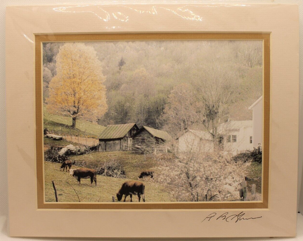 NEW Barry Gamow Cows & Barns Nature Art Photograph 8×10″ Matted Unframed Signed