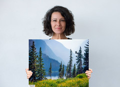 Botanical Wonderland: Summer Wildflowers at Glacier Montana Print