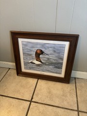 “The Boss” Canvasback Photo By M . L. Attwater