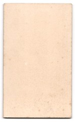 Photograph G. J. Koch, Schleswig, Lollfuss 24, portrait of a lady