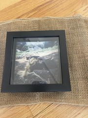 Original Artwork Polaroid On Archival Paper Wilderness Triptych 6×6 Framed $450