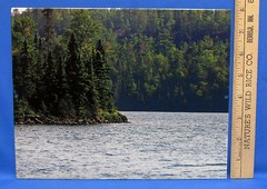 Mark Lewer Lake Shoreline Photograph Picture Printed on Metal Wall Hanging River