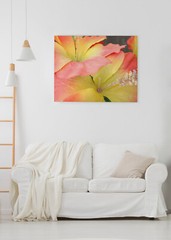 HIBISCUS 4×6 » MATTED AND FRAMED PRINT, READY TO HANG, GREAT FOR GIFTGIVING
