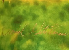Nectar In The Field, Bees On Wild Thistle, 16×20 Canvas Photo Ltd Ed. Signed