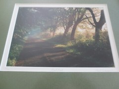 SIGNED Wood Framed PAUL GRECIAN BACK ROAD Art PHOTOGRAPH 42/150 – 18″ x 15″
