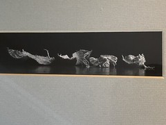 1983 art photographer RONALD C. STARK modern art b/w PHOTO mcm S/N
