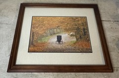 Wade Wilcox Signed Photography Photo Amish Buggy Autumn Scene Country Americana