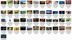 100 Amazing Mixed Desktop Computer Backgrounds Wallpaper Bundle Pack 349