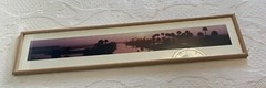 Panoramic Framed ECON Top Econlockhatchee River Florida Steve Vaughn 52:11’
