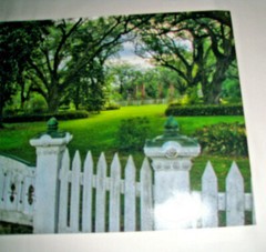 Large Photograph Plantation Louisiana Oak Trees Chimneys Picket Fence Gate 16/24