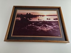ART – Large Original Signed P. Van Dolson 35mm Photograph 29×21 Framed Landscape