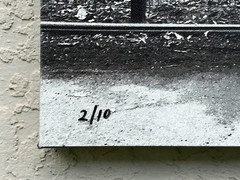 Albert Mollinea «Love is Natural» Fine Art Photo 2/10 — Central Park 2016