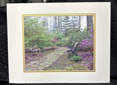 2003 Signed Vicki Hagan Photograph Garden Path Purple Flowers Bench No Frame