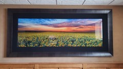 Peter Lik «Summer Dreams» Limited Edition 2M 