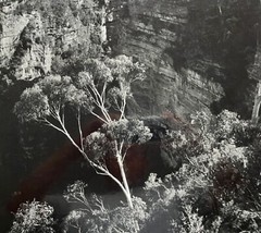DR KC BROWN AUSTRALIAN LARGE PHOTOGRAPH B&W «GHOST GUM BELOW THE CLIFFS» 1980