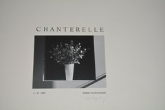 Robert Mapplethorpe SIGNED Untitled (Still Life of Vase and Flowers) Chanterelle