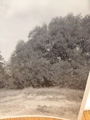 Arthur Gray Original Iconic Cleveland Ohio Dunes Scene WPA Original Photograph!