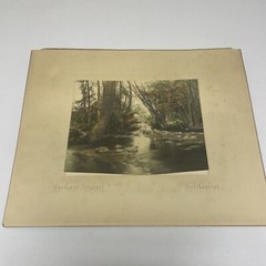 AQ Fred Thompson “Woodland Symphony” Original Hand Tinted Photograph Signed 7×9”