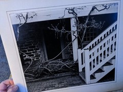 STAIRS & VINES LARGE ORIGINAL SIGNED ART PHOTO B&W STETTNER VTG MATTE NJ CAMERA
