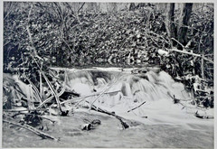 Lot of 3 B&W Photos- Unframed Matted- Forest Water Ice Wood Trees – c1970