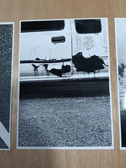 Set of 4 Black and White Fine Art Photography Prints – A4 Size – Minimalist Wall