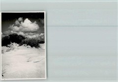 40103595 – 2280 Puan Klent Sylt Duenen Photo 5.5.x8cm