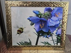 8×10 Photo Bumblebee Blue Bellflowers Nature Gold Honeycomb Framed Audra Deane