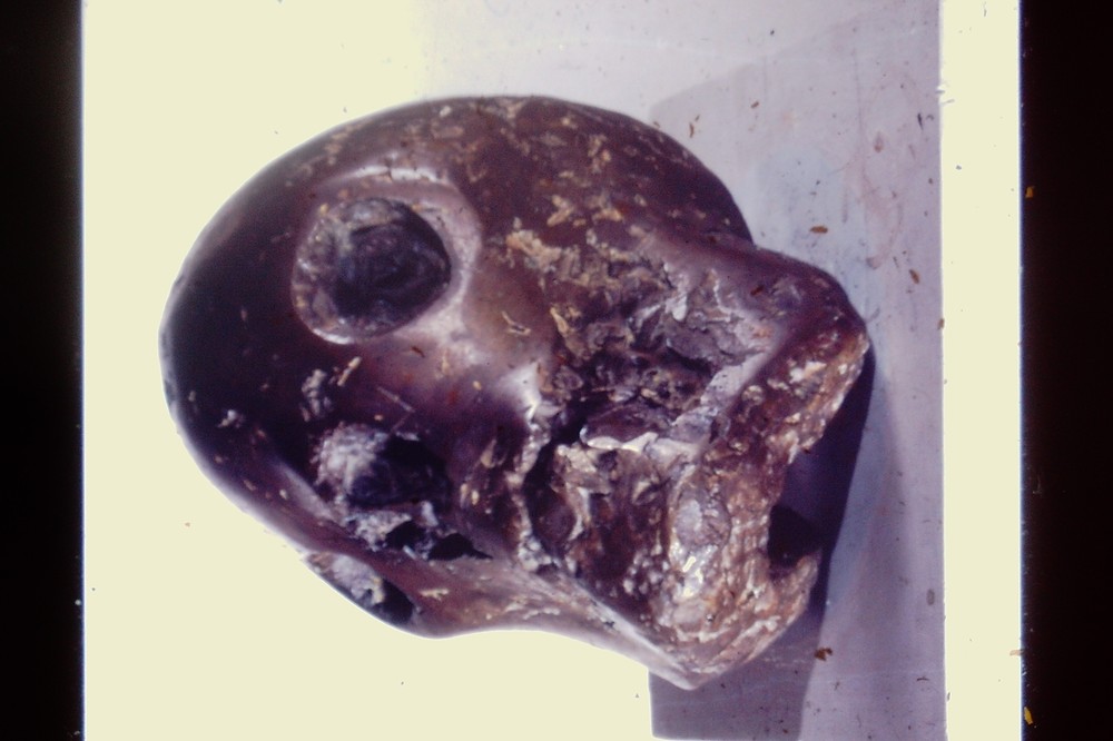 Vintage Art History 35mm Glass Slide Pablo Picasso Death’s Head 1943