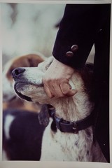 Vintage Film Photo France Hunting Horse Dog 24x30cm 1970