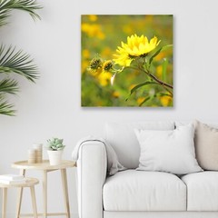 Sunflower, Abstract Floral Photography – Fine Art Photo on Metal, Canvas, Paper