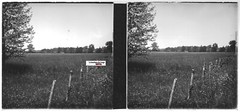 Countryside Landscape Glass Photo Stereo Plate, Black & White Positive 6×13 cm