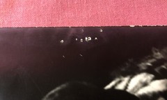 Vintage Photo On Board Indian Sqauw Chief Woman 16×20 Art Photography Contest