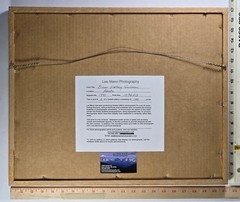 VTG Signed Ltd Ed Photograph (#2/100) Alaskan Grizzly Bear by Lee Mann ~ COA