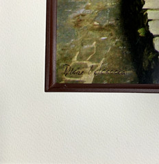 Glossy Photograph: Brook and Stone Wall. 15 in. x 12 in. Diane L. Deanna