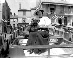 14 glass negatives 1890s / 1900s people wedding Naval Chatham Southsea Torquay