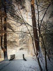 LANDSCAPE 8.5×11 or 13X19 COLOR BORDERLESS GLOSSY PRINT (FREE SHIPPING)