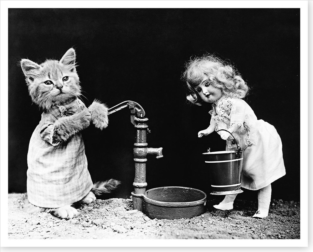 1915 Cat Kitten Pumping Water For Doll Harry Whittier Frees Silver Halide Photo