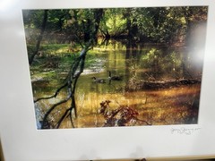 Jerry Jernigan Photography Framed And Matted “ Tranquility “ Creek With Ducks