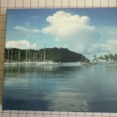 Photo On Stretched Canvas Honeymoon Island, St Thomas US Virgin Islands 5.5”x16”