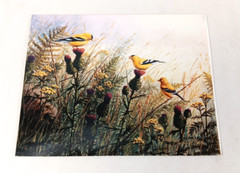 3 VTG Bird Photographs Pictures Signed, Limited Editions Quail Chickadee Nature