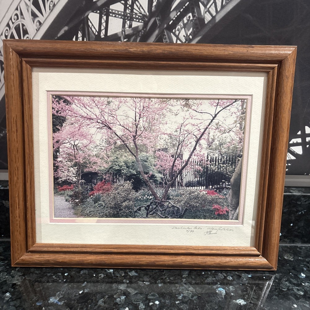 Cherry Blossom Photo Limited Edition # 4/89 Hand Signed Framed 16 1/2”x 13 1/2
