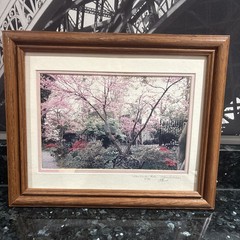 Cherry Blossom Photo Limited Edition # 4/89 Hand Signed Framed 16 1/2”x 13 1/2