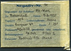 by Eduard PEZDIKA, OLD Vienna, vintage fine art GLASS negative! 1925, 1920’s,